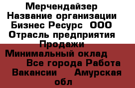 Мерчендайзер › Название организации ­ Бизнес Ресурс, ООО › Отрасль предприятия ­ Продажи › Минимальный оклад ­ 30 000 - Все города Работа » Вакансии   . Амурская обл.